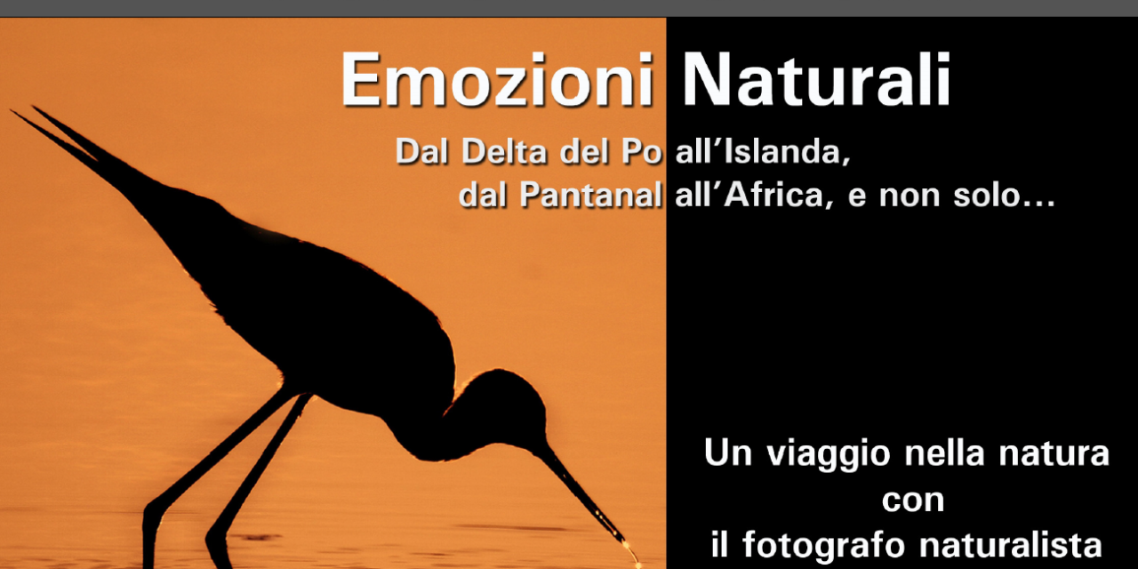 “DI OASI IN OASI… EMOZIONI NATURALI”: UN VIAGGIO NELLA NATURA CON IL FOTOGRAFO MILKO MARCHETTI
