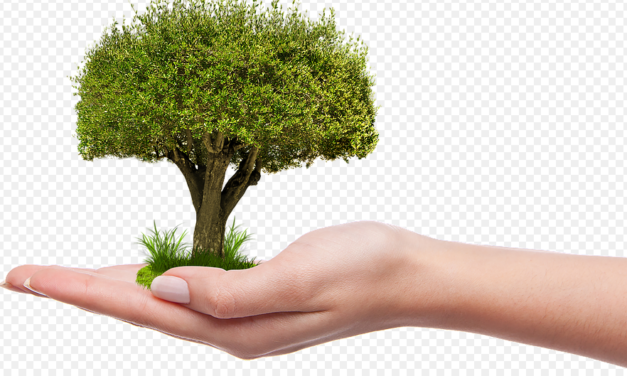 LA PRO LOCO “VIVERE INSIEME” DI STAGNO PIANTERÀ UN ALBERO PER OGNI BAMBINO NATO NEL PAESE NEL 2018