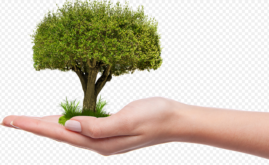 LA PRO LOCO “VIVERE INSIEME” DI STAGNO PIANTERÀ UN ALBERO PER OGNI BAMBINO NATO NEL PAESE NEL 2018