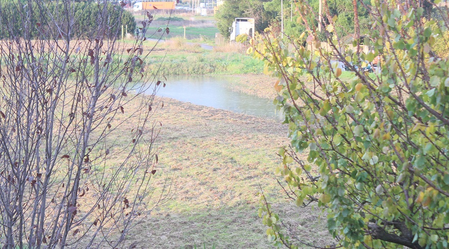 MALTEMPO, LA REGIONE: “LE AZIENDE AGRICOLE CHE HANNO RIPORTATO DANNI POTRANNO SEGNALARLI SU ARTEA”