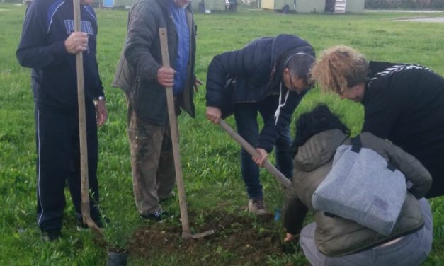A STAGNO SI PIANTA UN ALBERO PER OGNI BAMBINO NATO NELLA FRAZIONE NEL 2018
