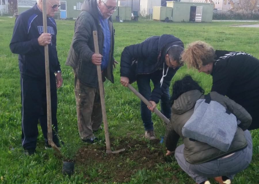 A STAGNO SI PIANTA UN ALBERO PER OGNI BAMBINO NATO NELLA FRAZIONE NEL 2018