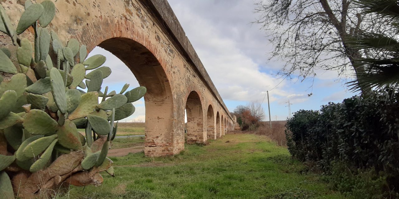 IL NUOVO VOLTO DELL’ACQUEDOTTO LEOPOLDINO DOPO I LAVORI DI RIPULITURA