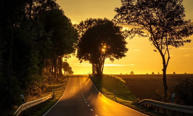 IL COMUNE: “AL VIA LA SANIFICAZIONE DELLE STRADE”