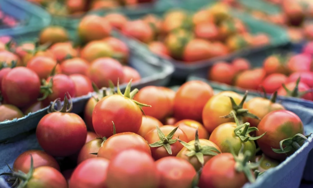“2,5 MILIONI PER LE IMPRESE PER SOSTENERE TRASFORMAZIONE, COMMERCIALIZZAZIONE E SVILUPPO DI PRODOTTI AGRICOLI”