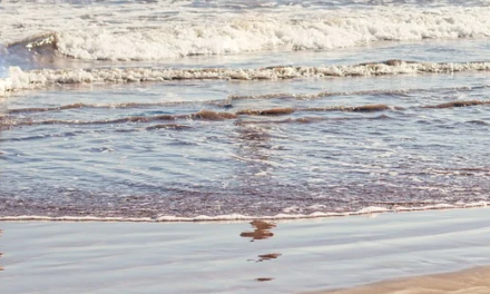 SI TORNA AL MARE, MA… COSA SARÀ PERMESSO?