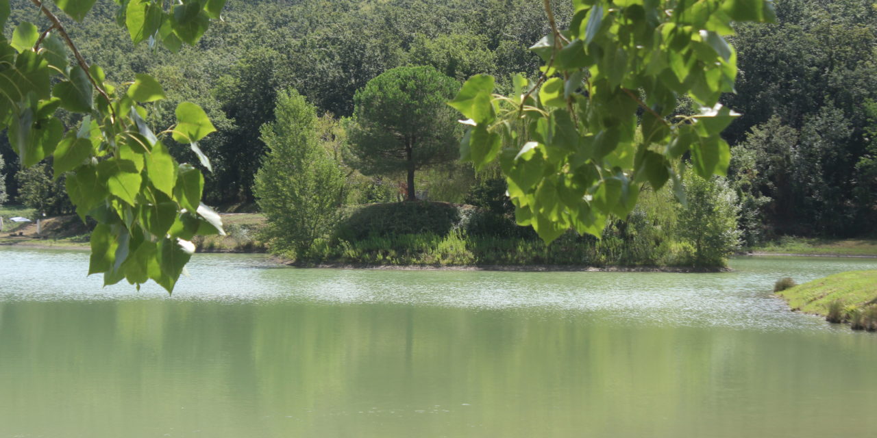 AL LAGO ALBERTO DI GUASTICCE L’APPUNTAMENTO È CON LE COLONNE SONORE DI MORRICONE