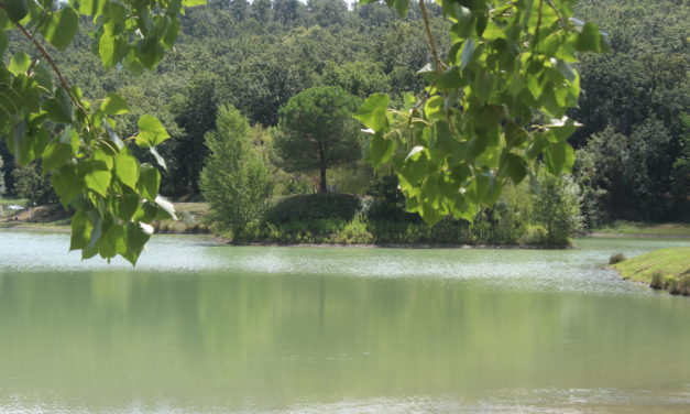 AL LAGO ALBERTO DI GUASTICCE L’APPUNTAMENTO È CON LE COLONNE SONORE DI MORRICONE