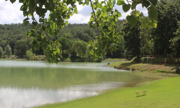 A GUASTICCE MUSICA E NATURA SI FONDONO IN UN’UNICA ARMONIA. TORNA “OPERA AL LAGO”