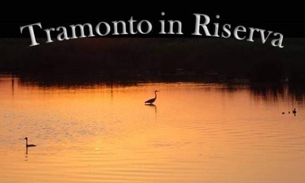 CON GAIA ALL’OASI DELLA CONTESSA PER UN’IMMERSIONE NELLO SPETTACOLO DELLA NATURA AL TRAMONTO