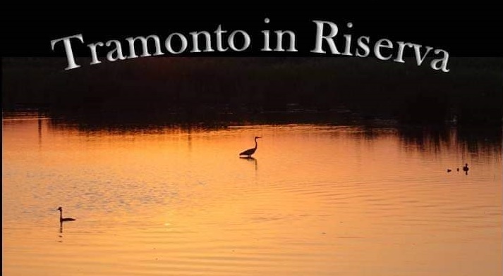 CON GAIA ALL’OASI DELLA CONTESSA PER UN’IMMERSIONE NELLO SPETTACOLO DELLA NATURA AL TRAMONTO