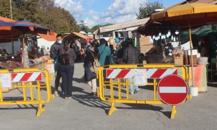 LA FIERA PAESANA A GUASTICCE AI TEMPI DEL COVID