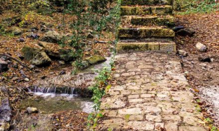 IL 30 OTTOBRE UN SEMINARIO CON UN FOCUS SULL’ACQUEDOTTO LEOPOLDINO