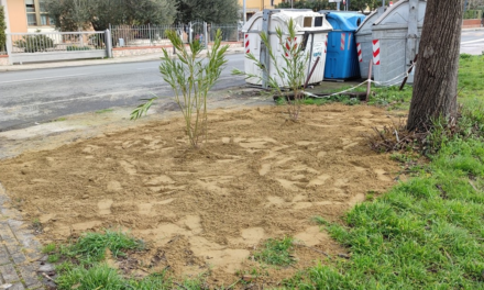 GUASTICCE: SISTEMATA LA “BUA DI VIA MONTEBIANCO”