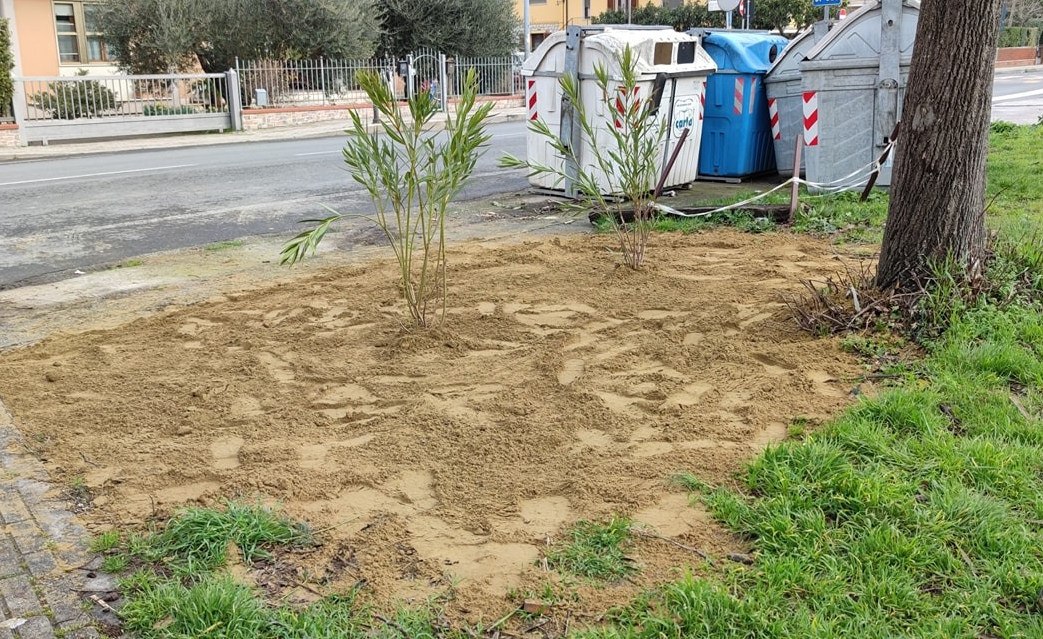GUASTICCE: SISTEMATA LA “BUA DI VIA MONTEBIANCO”
