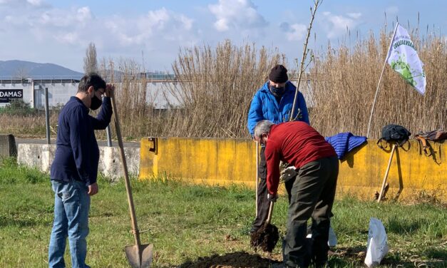 “COLLESALVIAMO L’AMBIENTE” PIANTA 2 GIOVANI ALBERI LUNGO LA PISTA VICARELLO-COLLESALVETTI