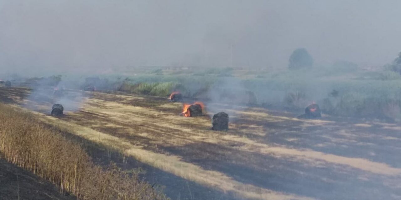 UN INCENDIO É DIVAMPATO SULLO SCOLMATORE FRA LA LOCALITÀ “IL FALDO” E STAGNO