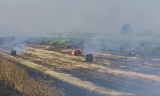 UN INCENDIO É DIVAMPATO SULLO SCOLMATORE FRA LA LOCALITÀ “IL FALDO” E STAGNO