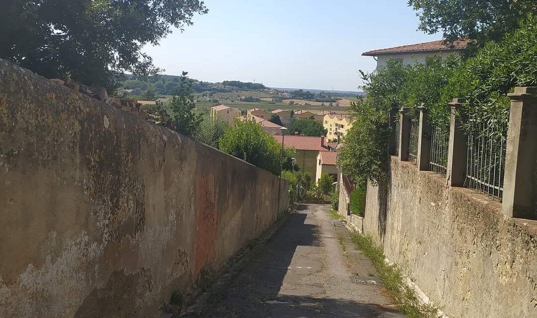 LAVORI PUBBLICI: STANZIAMENTI PER VICOLO GROCCO A COLLESALVETTI, VIABILITÀ, POTATURE…