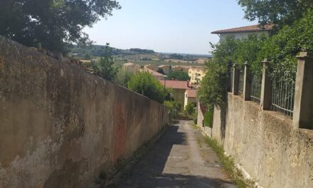 LAVORI PUBBLICI: STANZIAMENTI PER VICOLO GROCCO A COLLESALVETTI, VIABILITÀ, POTATURE…