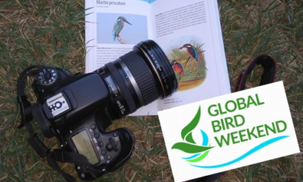A STAGNO CON L’ASSOCIAZIONE GAIA ALL’INSEGNA DELLE FOTO IN NATURA E DEL BIRDWATCHING