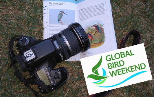 A STAGNO CON L’ASSOCIAZIONE GAIA ALL’INSEGNA DELLE FOTO IN NATURA E DEL BIRDWATCHING