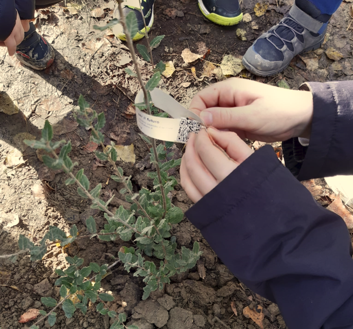 A GUASTICCE I CARABINIERI PIANTANO UN ALBERELLO ASSIEME AI BAMBINI DELLA SCUOLA