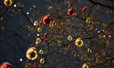 NATALE A COLLESALVETTI, VICARELLO E STAGNO: IL CARTELLONE DEGLI EVENTI