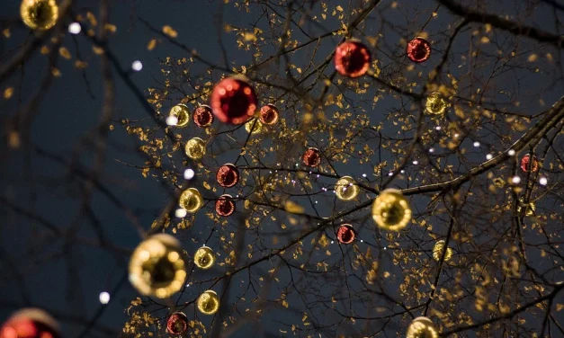 NATALE A COLLESALVETTI, VICARELLO E STAGNO: IL CARTELLONE DEGLI EVENTI