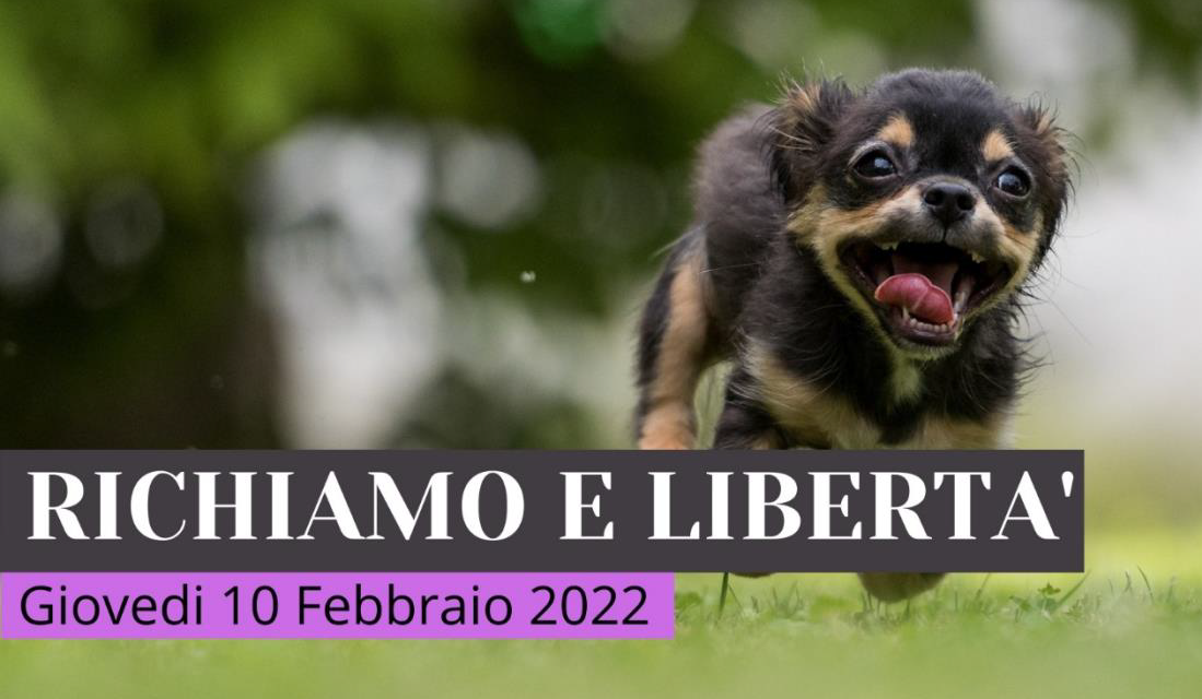 SCUOLA CINOFILA DI STAGNO: NUOVO WEBINAR “RICHIAMO E LIBERTÁ“