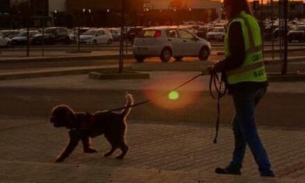 SCUOLA CINOFILA DI STAGNO: TEORIA E PRATICA DEL MANTRAILING