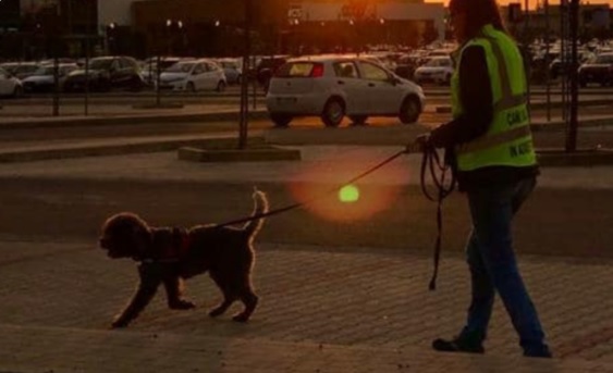 SCUOLA CINOFILA DI STAGNO: TEORIA E PRATICA DEL MANTRAILING