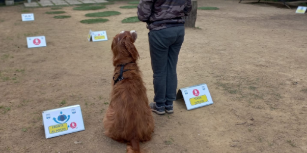 RALLY OBEDIENCE ALLA SCUOLA CINOFILA DI STAGNO