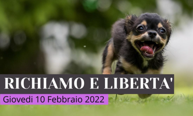 SCUOLA CINOFILA DI STAGNO: NUOVO WEBINAR “RICHIAMO E LIBERTÁ“