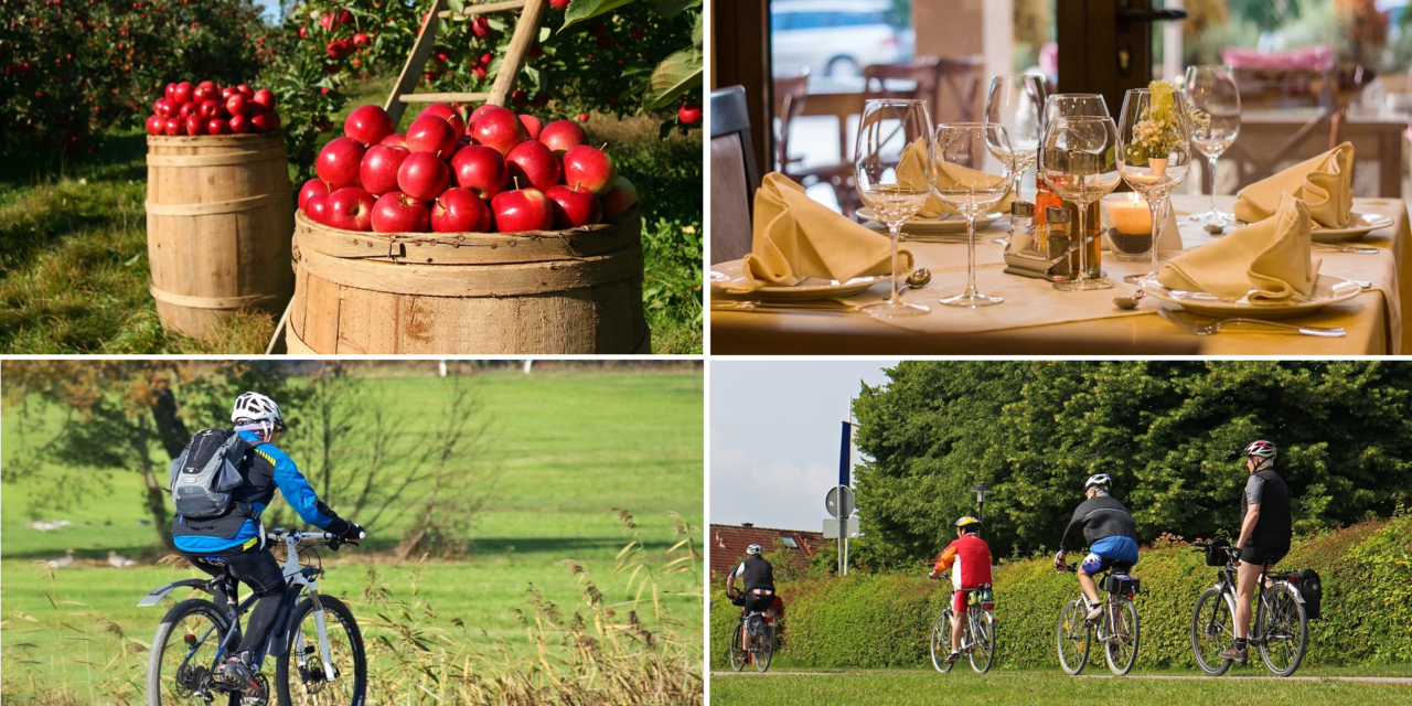 DALLA CAMERA DI COMMERCIO 3 BANDI PER CONTRIBUTI E VOUCHER A FONDO PERDUTO