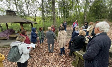 GUASTICCE: NELLA TENUTA INSUESE IL PRIMO INCONTRO DI “FOREST BATHING”