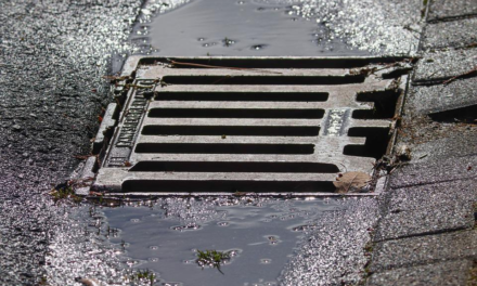 AL VIA NELLE PROSSIME SETTIMANE LA MANUTENZIONE STRAORDINARIA DELLE CADITOIE