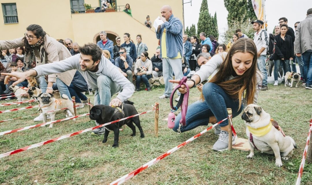 A GUASTICCE TORNANO LE “UGOPIADI”: IL RADUNO NAZIONALE DEL CANE CARLINO