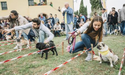 A GUASTICCE TORNANO LE “UGOPIADI”: IL RADUNO NAZIONALE DEL CANE CARLINO