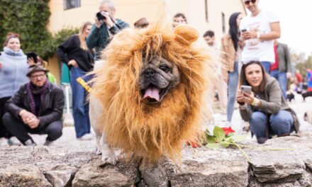 LE “UGOPIADI” DI GUASTICCE A TEMA CINEMA: CARLINI COME STAR HOLLYWOODIANE SFILANO MASCHERATI SUL RED CARPET