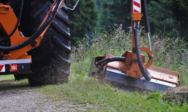 S.R.T. 206 “PISANA-LIVORNESE”: INIZIATI I LAVORI PER IL TAGLIO DELL’ERBA