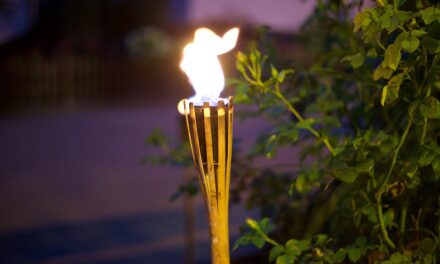 LA LUCE DELLA PACE DI BETLEMME FA TAPPA A COLLESALVETTI