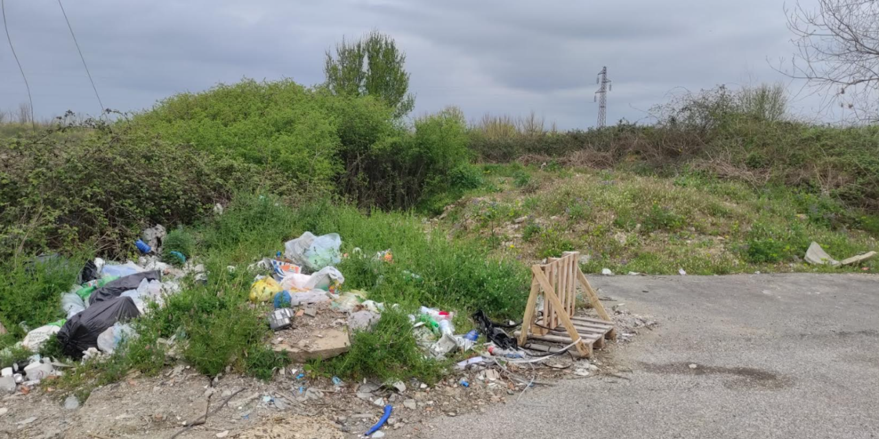 LA DENUNCIA DI CNA: «LE ZONE ARTIGIANALI DI COLLESALVETTI SONO IN STATO DI DEGRADO»