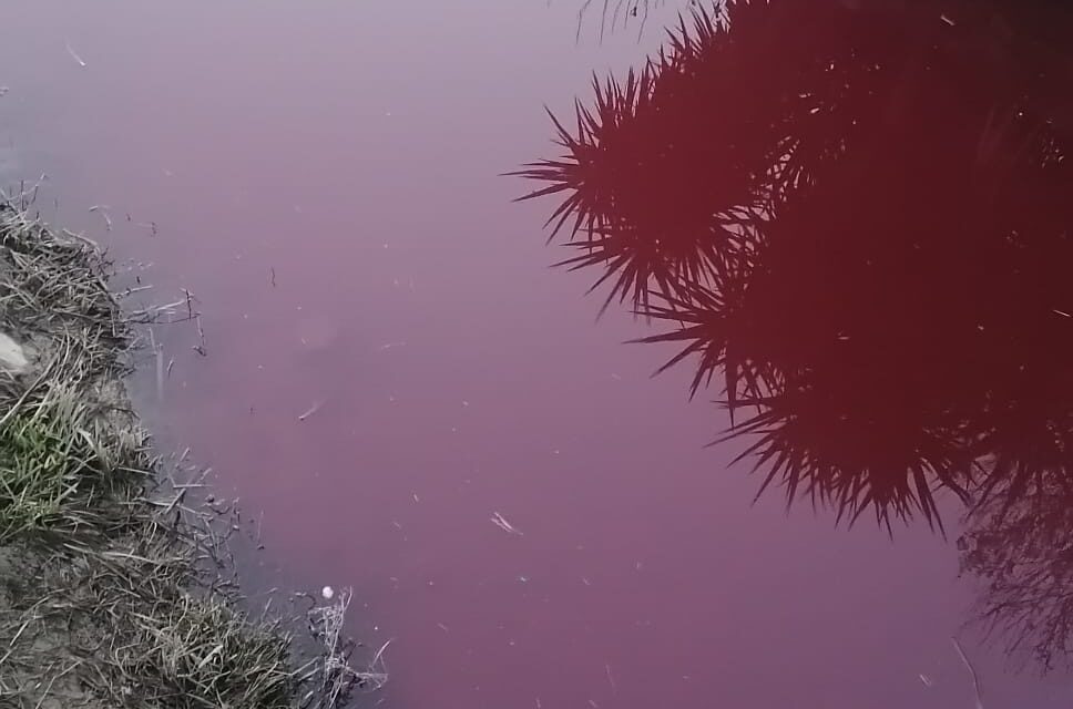 INTERVENTO IMMEDIATO SUL FOSSO CATERATTO DI STAGNO: EMERGENZA PER ANOMALIE DI COLORAZIONE