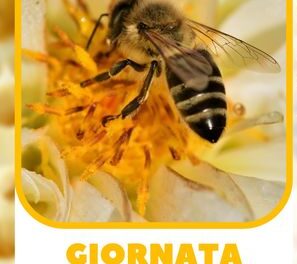 COLLESALVETTI AMICA DELLE API:  LE CELEBRAZIONI PER LA GIORNATA MONDIALE DEDICATA AGLI INSETTI IMPOLLINATORI