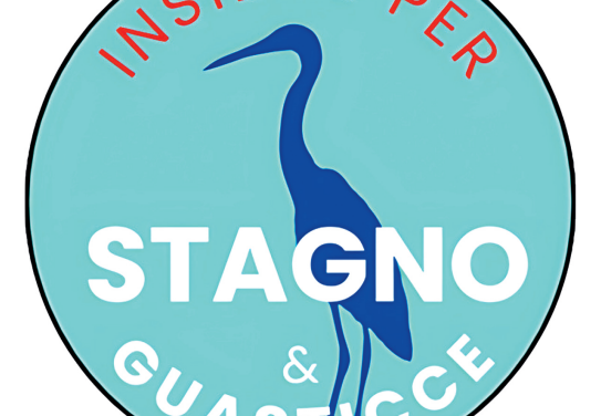 “INSIEME PER STAGNO E GUASTICCE “: CANDIDATI PER IL CONSIGLIO COMUNALE A SOSTEGNO DI FRANCESCO RELLI