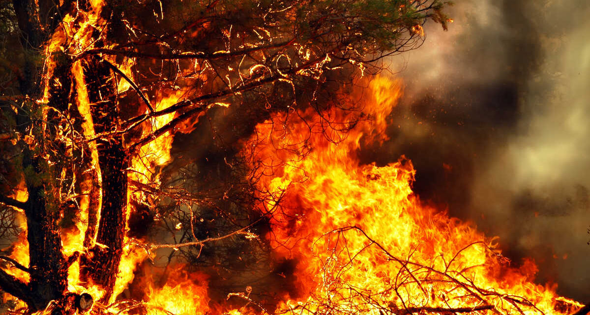 PROROGATO AL 21 SETTEMBRE IL PERIODO A RISCHIO INCENDI