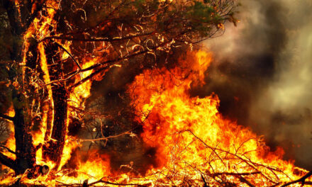 PERIODO A RISCHIO INCENDI: DIVIETO ASSOLUTO DI ACCENDERE FUOCHI