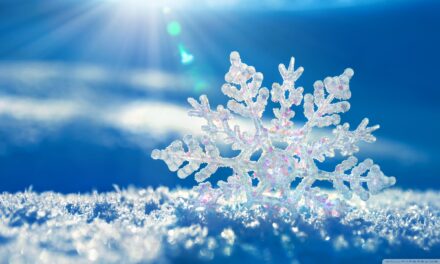 ALLERTA GHIACCIO A COLLESALVETTI: UN INVITO ALLA PRUDENZA PER LA ZONA A4