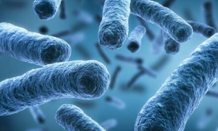 LEGIONELLA NELL’ACQUA: CHIUSA LA SCUOLA DELL’INFANZIA DI GUASTICCE